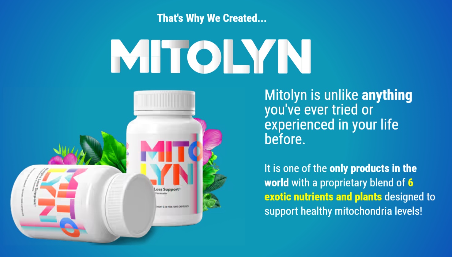 Mitolyn